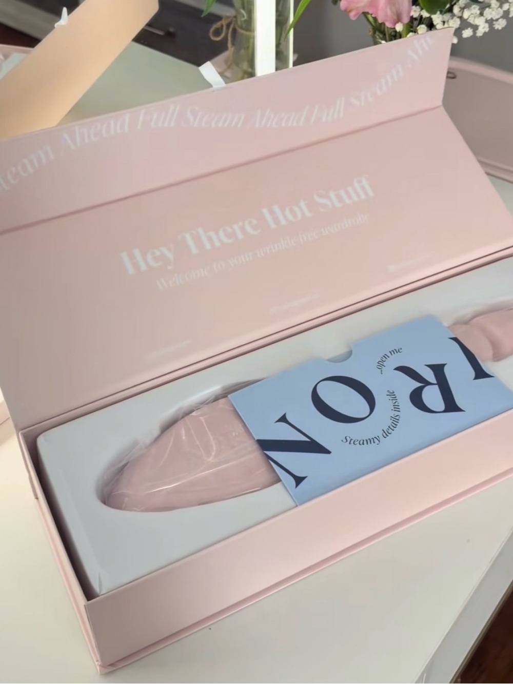 Steamy Full-Size Pink Facial Steamer
